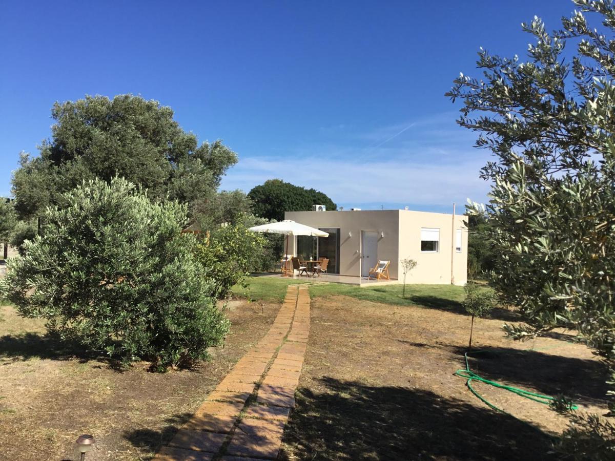 Oikia Ampavris Villa Kos Town Luaran gambar